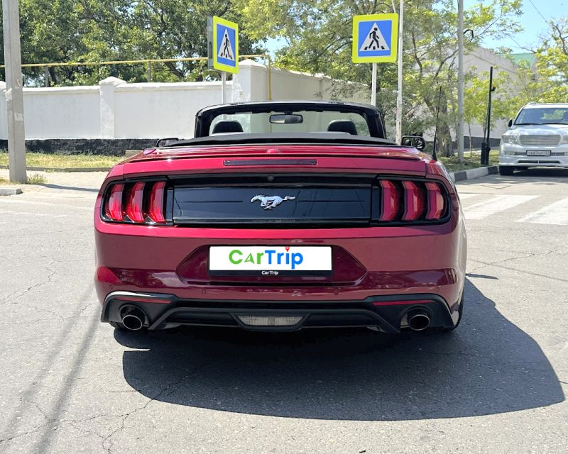 Ford Mustang Спорт купе / Кабриолет